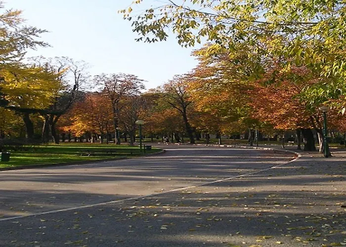 Panorama Centro 호텔